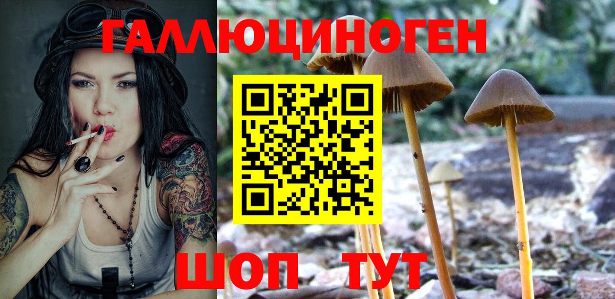 Галлюциногенные грибы Psilocybe  Вход с VPN  Нальчик 