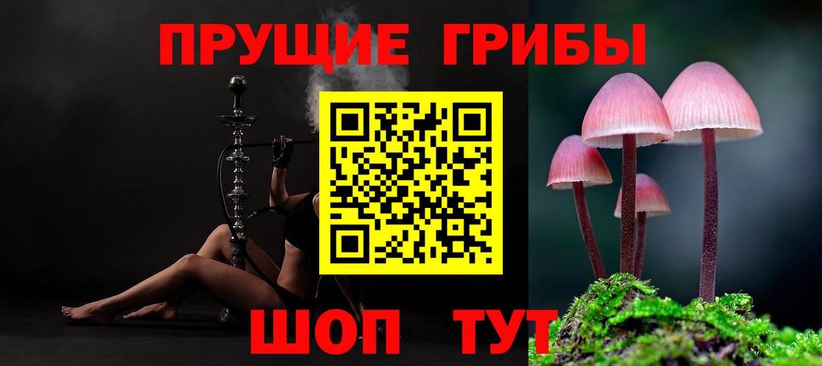 Галлюциногенные грибы мицелий Нальчик